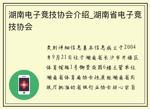 湖南电子竞技协会介绍_湖南省电子竞技协会
